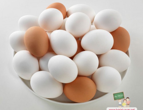 Her Gün Yumurta Yediğimizde Vücudumuzda Ne Tür Değişiklikler Olur ?