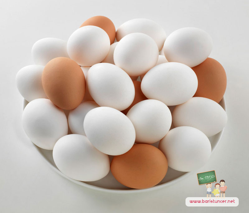 Her Gün Yumurta Yediğimizde Vücudumuzda Ne Tür Değişiklikler Olur ?